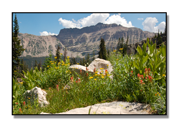uinta-mountains